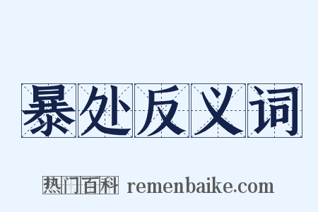 暴处反义词是什么意思的图片
